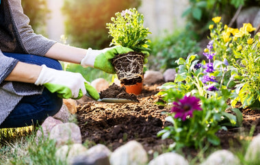 Spring Planting 101: Maintenance, Memorials and More