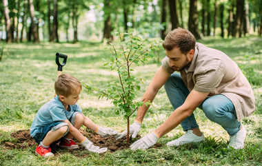 Memorial Tree Planting: What Are the Best Plants & Trees for Ashes?