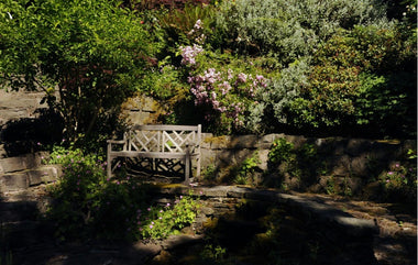 Finding Solace: How Memorial Gardens Help Ease Grief and Stress