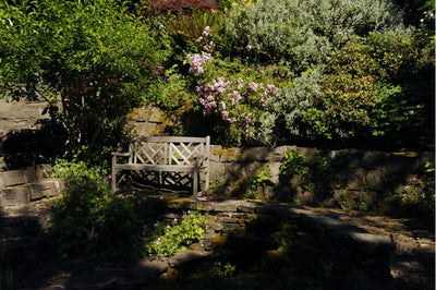 Finding Solace: How Memorial Gardens Help Ease Grief and Stress