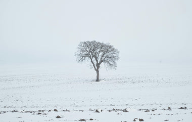 Mortal Matters: Winter’s Wisdom